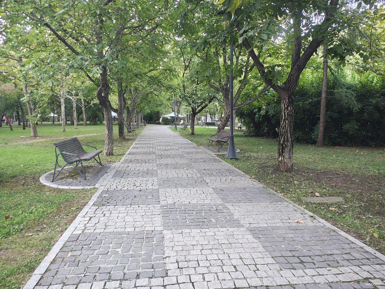 A Cobblestone Path Through the Green Trees