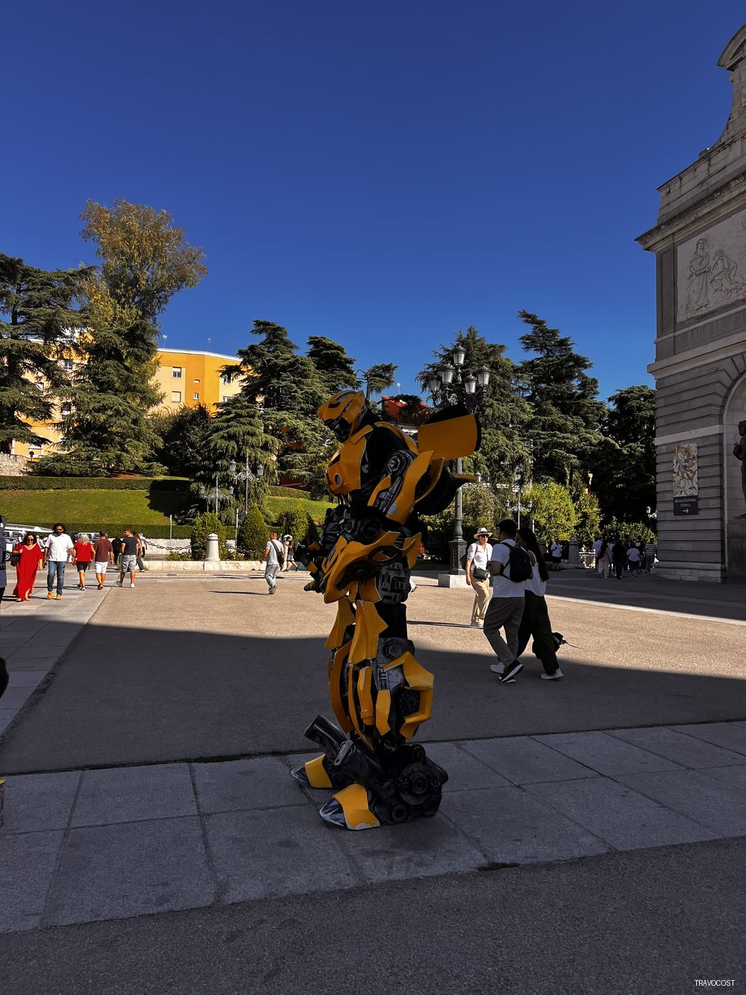 Bumblebee — Cities — Travocost photography