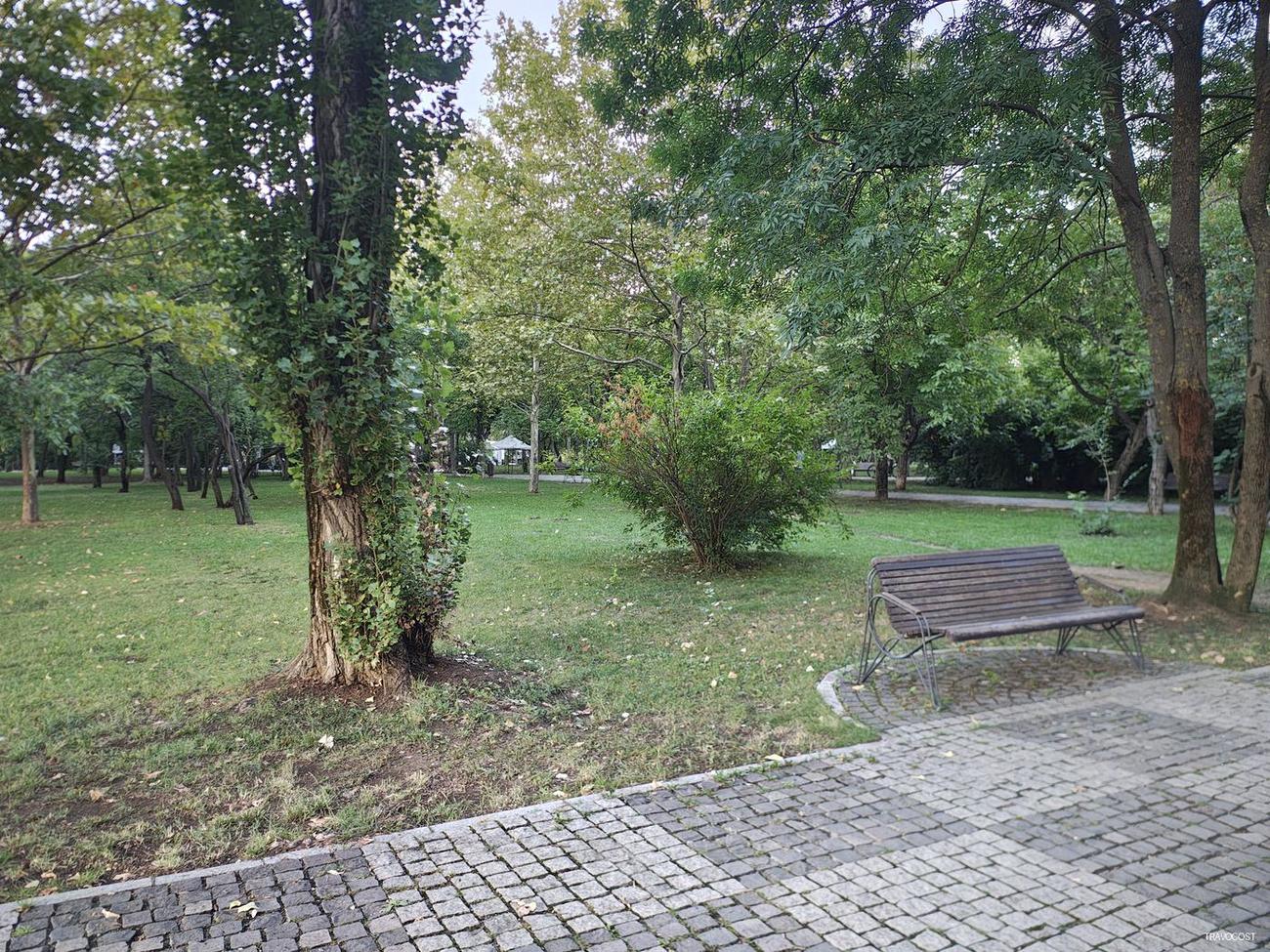Surrounded by greenery, sitting on a bench
