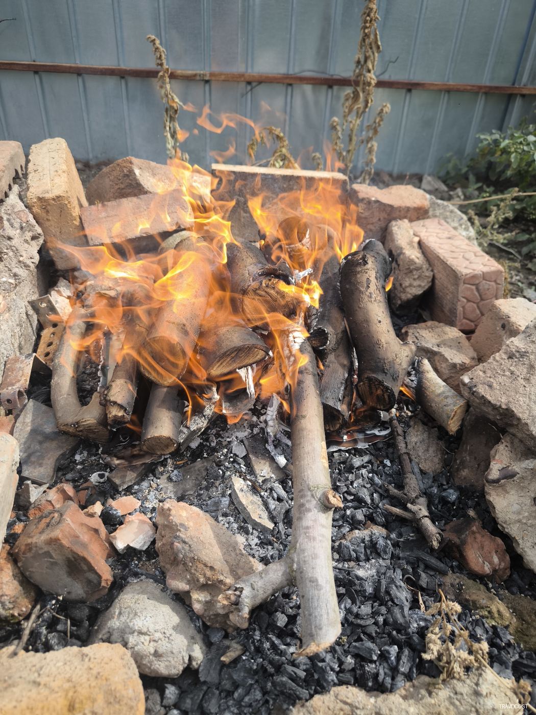 The Backyard "This Is Fine" Therapy Session